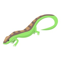 Salamander icon. Isometric of salamander vector icon for web design isolated on white background
