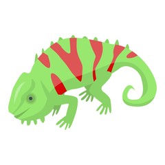 Red green chameleon icon. Isometric of red green chameleon vector icon for web design isolated on white background
