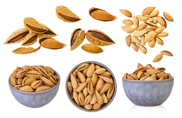 set of almonds shell with clipping path