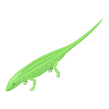 Green reptile icon. Isometric of green reptile vector icon for web design isolated on white background