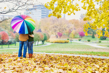 Rear view of man holding umbrella while enjoying the lovely view with his wife in park