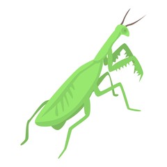 Female mantis icon. Isometric of female mantis vector icon for web design isolated on white background