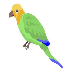 Pirate parrot icon. Isometric of pirate parrot vector icon for web design isolated on white background