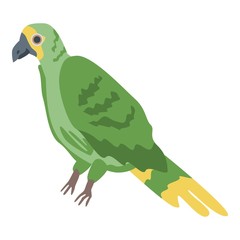 Jungle parrot icon. Isometric of jungle parrot vector icon for web design isolated on white background
