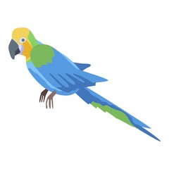Colorful parrot icon. Isometric of colorful parrot vector icon for web design isolated on white background