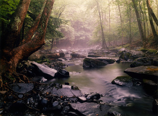 Along the Red Path, Bushkill Falls PA.