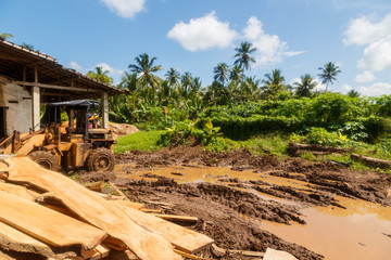 Fototapety na wymiar - Fototapeta24.pl
