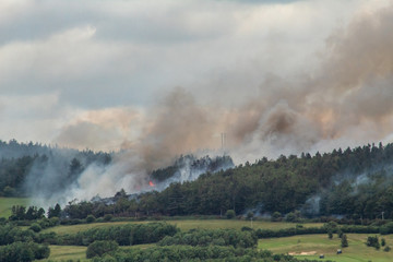 A Forest Fire Above a Golf Course in County Wicklow