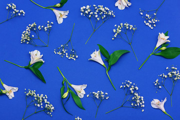 Spring white flowers on blue background.