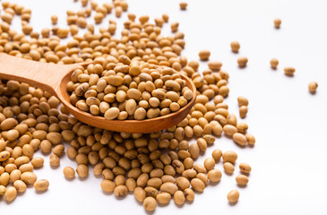 Soybeans on wooden spoon and scattered on white background