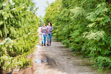 Fototapeta premium Photo of mature woman writing report on clipboard while walking with coworker in greenhouse