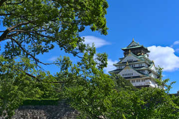 castle in japan