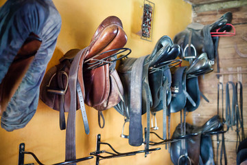 Photo of horse saddles on a ranch