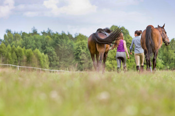 Rear view of  women walking while talking with their horses in ranch