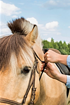 Close up photo of mature woman adjusting horse bit in ranch
