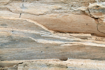 Wood texture