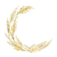 Watercolor wild floral wreath. Pampas graas for design boho and modern logo style . Panicle Cortaderia selloana South America, feathery flower head plumes for wedding invintation ans baby shower.