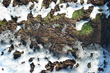 snow melt