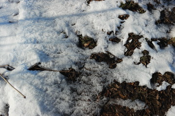 white snow on  brown grass