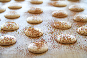Fototapeta na wymiar French dessert macaron. The photo of making macaron powdered with cocoa powder. Macaron in process, before baking. Macarons piped on a tray covered with a teflon sheet. Back view.