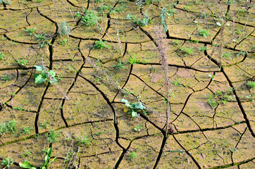 Dry lake or swamp in the process of drought and lack of rain or moisture, a global natural...