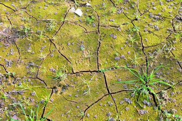 Dry lake or swamp in the process of drought and lack of rain or moisture, a global natural...