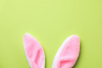 Easter bunny ears on green background, top view. Space for text