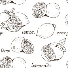 Citrons et oranges fruits vecteur transparente motif, agrumes dessinés à la main isolé sur fond blanc avec texte