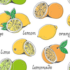 Modèle sans couture de vecteur de fruits citrons et oranges, agrumes dessinés à la main isolés sur fond blanc
