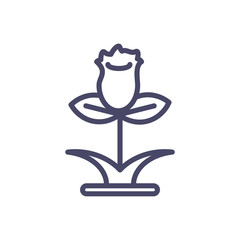 beautiful rose with leaves, line style icon