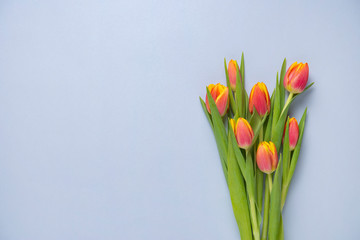 bright fresh bouquet of yellow and pink tulips on a blue background