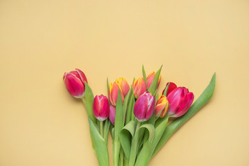 bright fresh bouquet of  pink and yellow tulips on a yellow  background