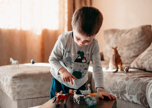 Concentrated 4 Years Old Little Boy Playing With Animal Toys In Sunny Room. Childhood And Kids Concept