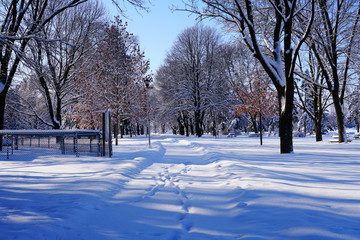 Winter Wonderland landscape view of Lakeside park of Fond du Lac, Wisconsin Winter Season in February 