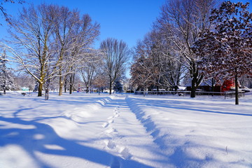 Winter Wonderland landscape view of Lakeside park of Fond du Lac, Wisconsin Winter Season in February 
