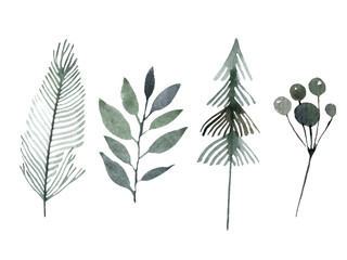 Cute forest icons. Scandinavian watercolor symbols. Woodland decoration illustration. Forest wildlife set graphics.