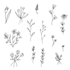 Set of simple flowers, plants, branches and leaves in doodle style without fill. Lovely bouquets. Black outline. Isolated objects on a white background. Vector stock illustration.