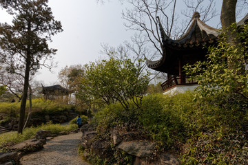 Tradycyjny chińskie ogród