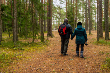Obraz premium Elderly men and a woman walk along a forest path together.