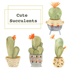 Watercolor illustration of a set of blooming cactus in a pot. Drawn in watercolor by hand and is suitable for all types of design and printing.