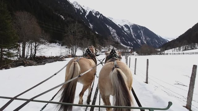 Horse coach through Austrian alps