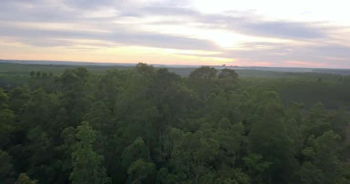 Aerial View of Rainforest Under Colorful Sky After Sunset in Paraguay