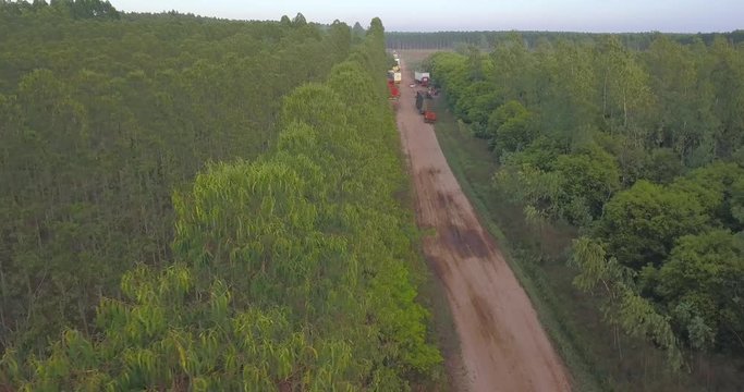 Aerial View of Lined Trees and Machines in Woodwork Factory in Countryside of Paraguay