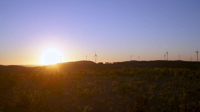 Field of turbine windmills twiling with the wind at the sunset