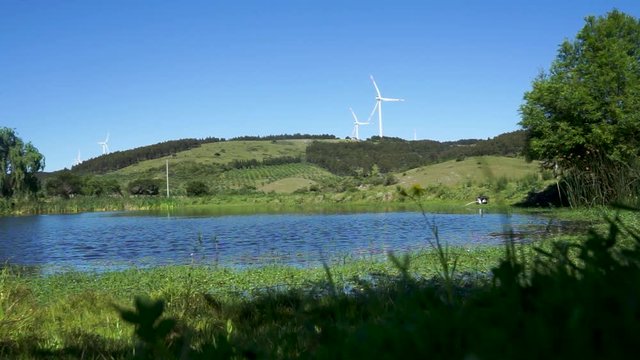 Green meadow and lake with group of  turbine windmills