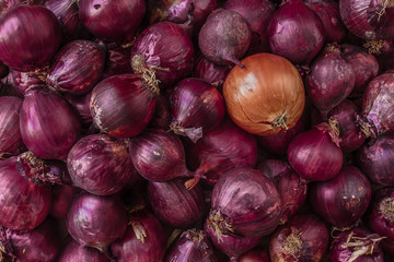 Fresh onions, lies on a table among red onions