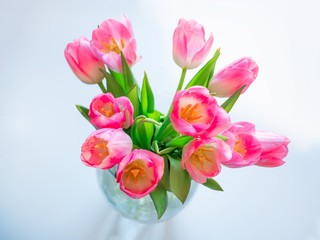 A bouquet of pink tulip flowers in a glass vase with water top view.