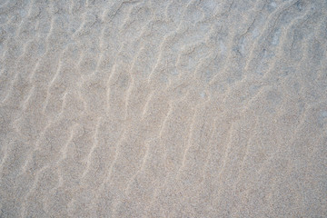 Fototapeta na wymiar Gros plan sur des mini dunes de sable gris sur une plage à marée basse, ondulation sablonneuse.