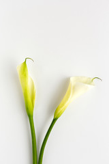 Obraz premium Beautiful bouquets of fresh spring flowers