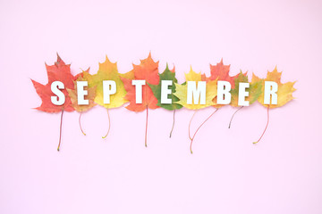 Leaves of paper fall red, orange, yellow leaf fall. Autumn concept